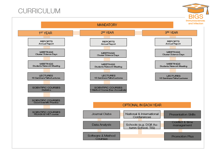 Curriculum